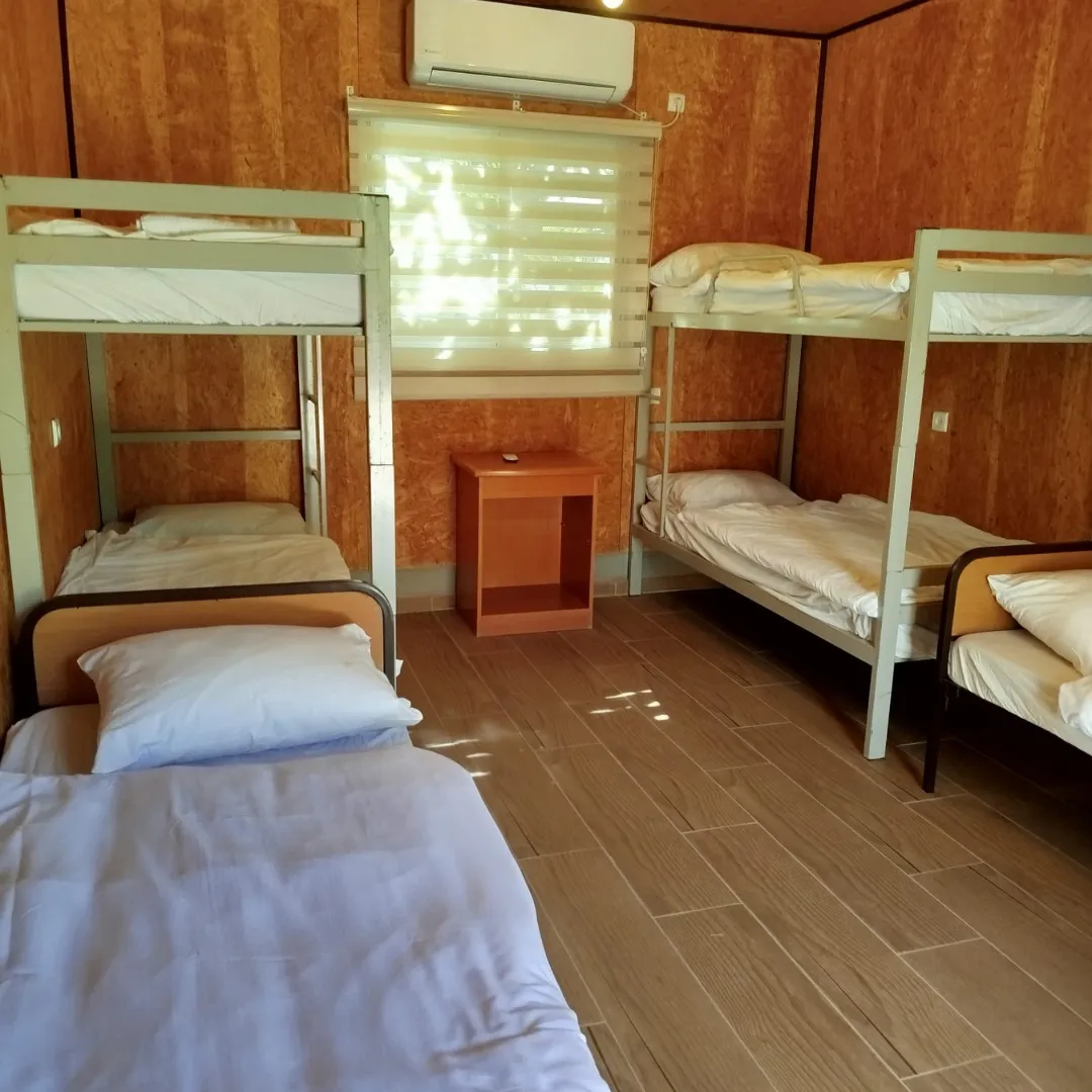 עיצוב ללא שם (10)